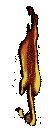 Tempio di Fuoco